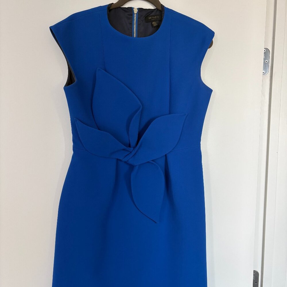 Elegant Ted Baker London Wedding and Cocktail Dress